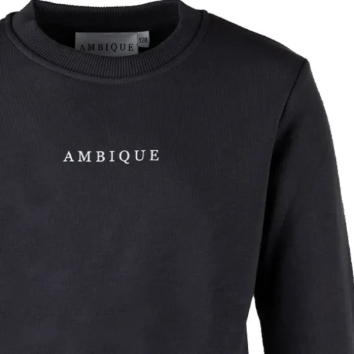 Ambique kris sweater antra