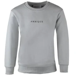 Ambique kris sweater light grey