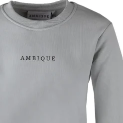 Ambique kris sweater light grey