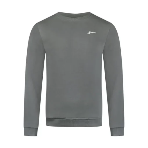 Ambique Luke backprint sweater Stone grey