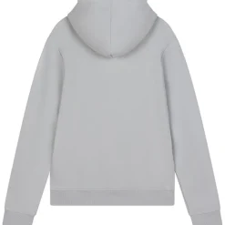 Ambique Nick hoodie light grey