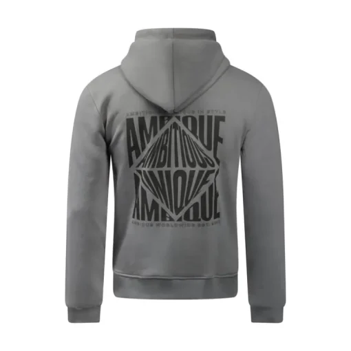 Ambique Sam backprint hoodie stone grey