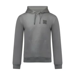 Ambique Sam backprint hoodie stone grey