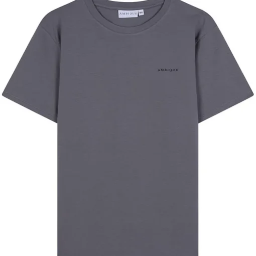 Ambique T-shirt Justin Stone grey