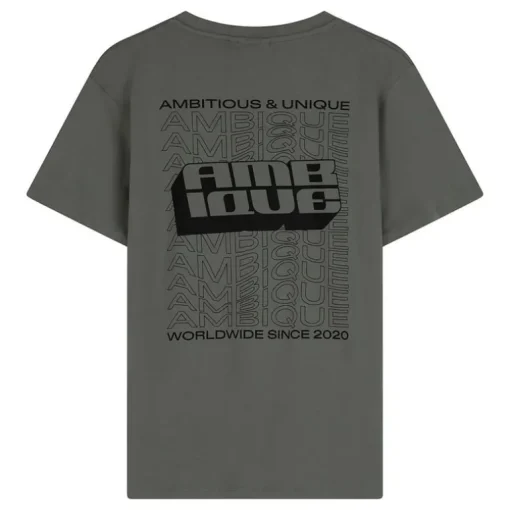 Ambique T-shirt Lux groen