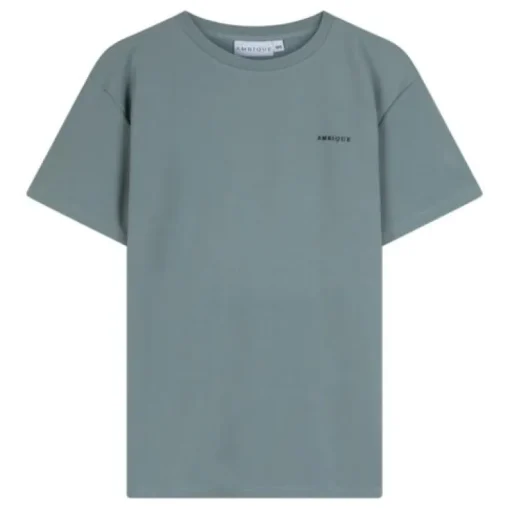 Ambique T-shirt Teddy lichtgroen