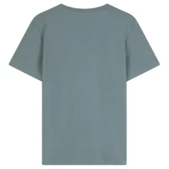 Ambique T-shirt Teddy lichtgroen
