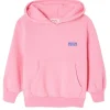 American Vintage hoodie Izubird roze