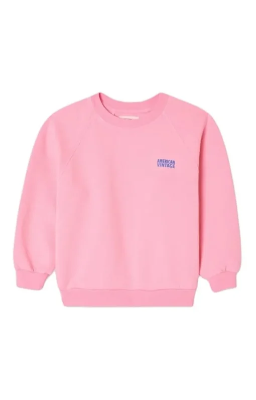 American Vintage sweater Izubird suikerspin