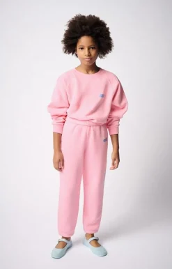 American Vintage sweater Izubird suikerspin