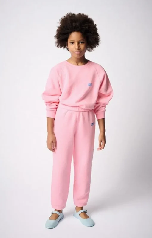American Vintage sweater Izubird suikerspin