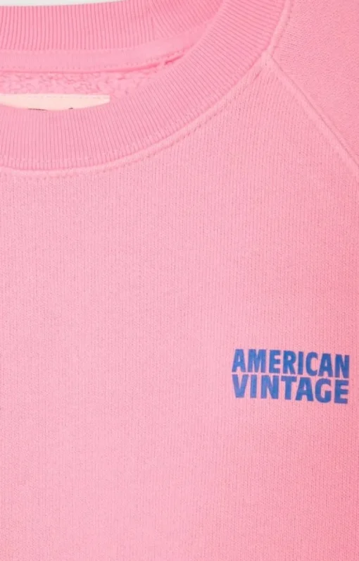 American Vintage sweater Izubird suikerspin