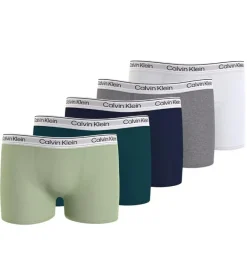 Calvin Klein boxer trunk 5-pack