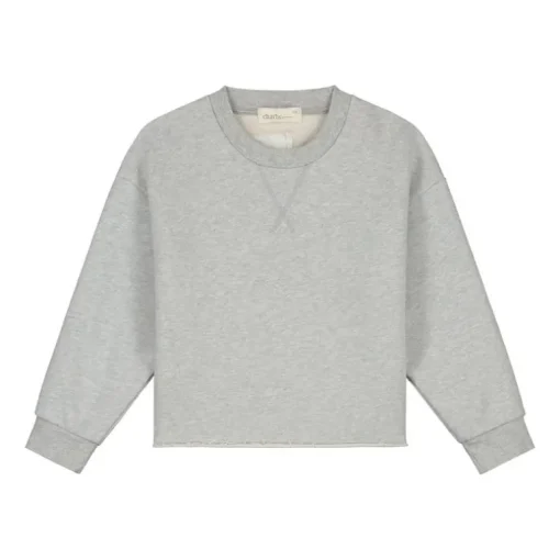 Charlie Petite Charlie sweater
