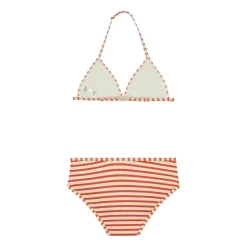 Shiwi bikini stipe triangle