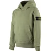 Stone Island hoodie V0055