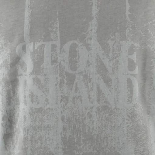 Stone Island logo print T-shirt V0061