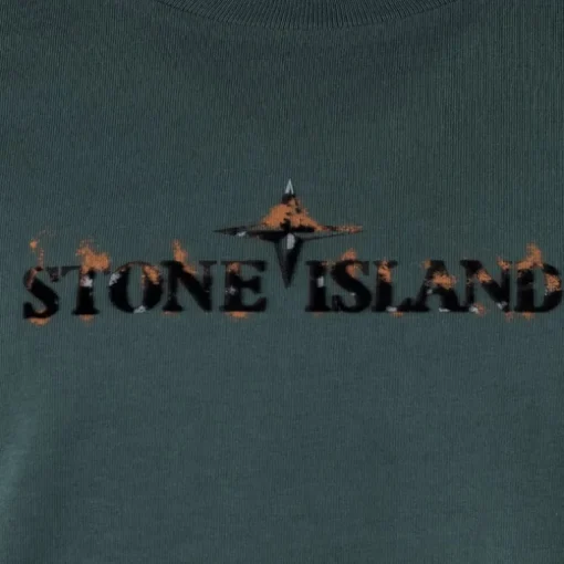 Stone Island logo print T-shirt V0057