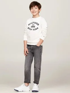 Tommy Hilfiger regular straight fit jeans grey