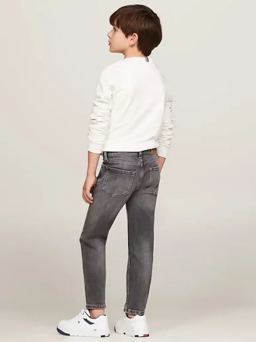 Tommy Hilfiger regular straight fit jeans grey