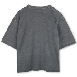 Zadig & Voltaire art is truth T-shirt grijs