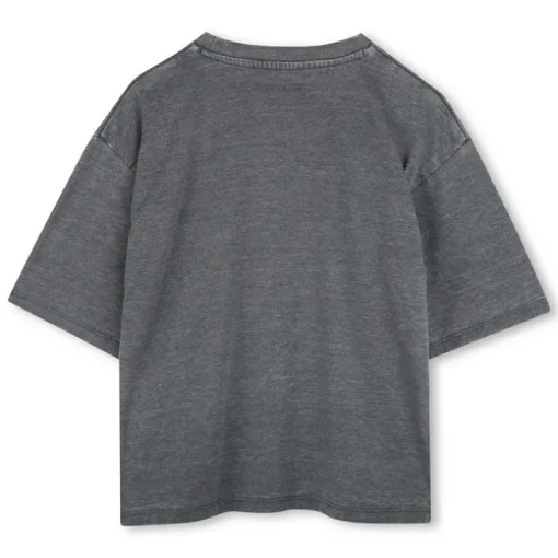 Zadig & Voltaire art is truth T-shirt grijs